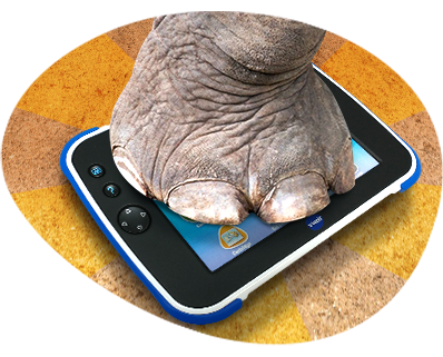 Tablette Storio Max 2.0 5 bleue VTech : King Jouet, Tablettes et  téléphones VTech - Jeux électroniques